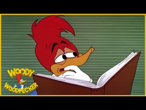 Woody Woodpecker | International Woodpecker | Full Episodes