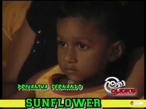 WERALE MUHUDU WALLE//වෙරළේ මුහුදු වැල්ලේ//PRIYANTHA FERNANDO//ප්‍රියන්ත ප්‍රනාන්දු