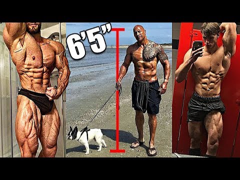 TOP 7 Most Aesthetic Tall Physiques Of 2017 (In The World)