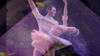 Dancing Shoes ~ Dan Fogelberg [ CC ]