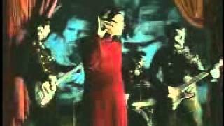 Aterciopelados Hijos de Tigre