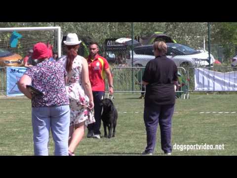 Finals - Jesus Martin Gonzalez + Tyson