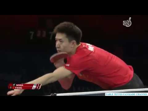 NIWA Koki 丹羽 孝希 - FANG Bo 方博 | QF | Swedish Open 2017 [HD]
