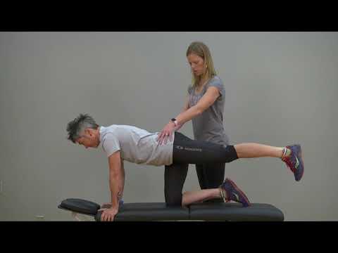 Bird-dog - YouTube video thumbnail.