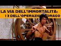 La Via Dell Immortalità I 3 Dell Operazione Drago