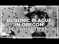 Central Oregon Resident Diagnosed With Bubonic Plague