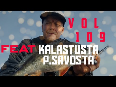 Pottukoira kalastaa vol 109- syvän veden ahventa feat kalastusta p.savosta & ahventa matalasta