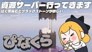 【Minecraft | 🌈 にじ鯖 】資源サーバー行ってきます【にじさんじ | セフィナ】