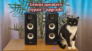 Download lagu Genius speakers - repair / upgrade mp3