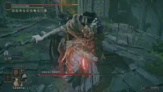 [問題] 法環 正在複習中