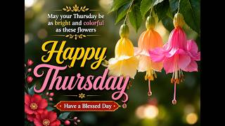 Good Morning Happy Thursday | Beautiful Flower Wishes and Blessings