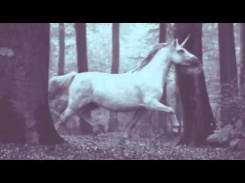 EnSecreto & Fat Jota - Estaciones