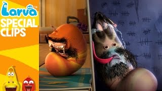 [Official] Sadness - Fun Clips from Animation LARVA