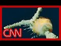 1986 Space Shuttle Challenger explosion: CNN's live broadcast 1986 Space Shuttle Challenger explosion: CNN's live broadcast