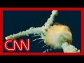 CNN: Challenger Disaster Live on CNN 