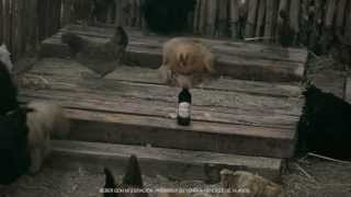 Nueva Andes Barley Wine