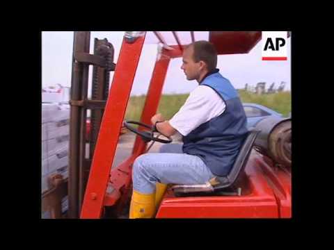 HOLLAND: YERSEKE: MUSSEL SELLING SEASON BEGINS