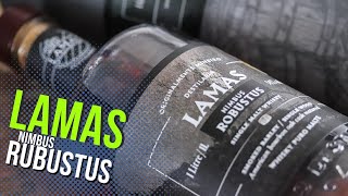 Vídeo
