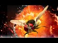 Eega Movie Makki Movie BGM Ringtone Kiccha Sudeep Samantha