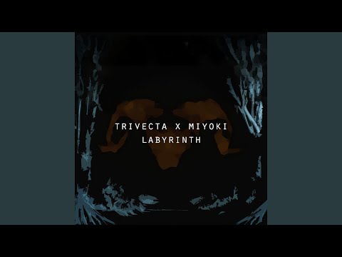 Labyrinth (feat. Miyoki)