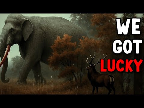 The Largest Mammal to Ever Walk the Earth was INSANE