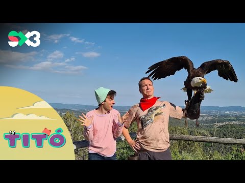Excursió a veure ocells rapinyaires | Titó