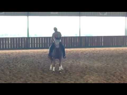 Mattie - first time ride #2 (Stewie)