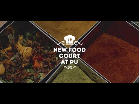 Parul University Academic Building video thumbnail 4