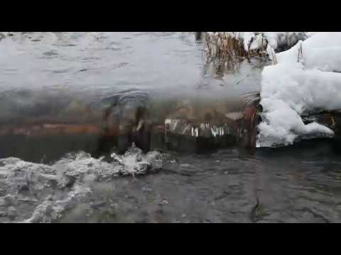 Nikon Z50 kamerahus + Z DX 16-50mm f/3,5-6,3 VR + Z DX 50-250mm f/4,5-6,3 VR (begagnad) | CyberPhoto