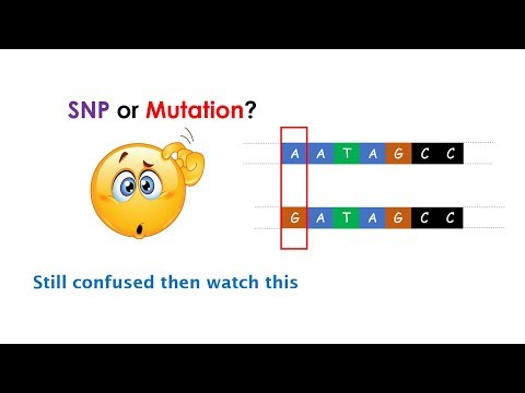 Difference between SNP and Mutation? Clear the differences between two