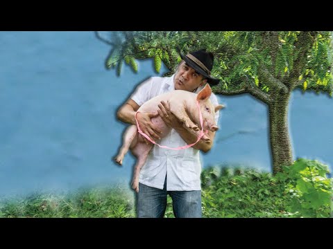 Kiki Valera “Homenaje a Panchita” - Música Cubana, Cuban Music, Son Cubano, Guaracha.