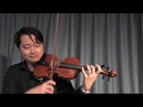 ABRSM 20-23 Violin Grade 8  A2:Allegro: First Movement from Sonata in E Minor, Op.2 No.8 by Veracini