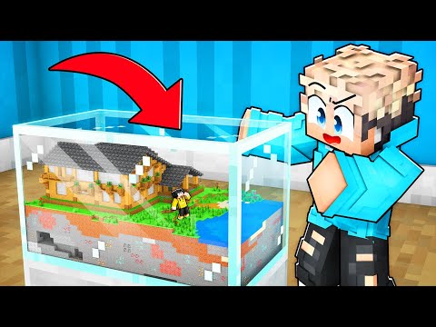 Lumi PRANKT als 100% WINZLING in Minecraft!