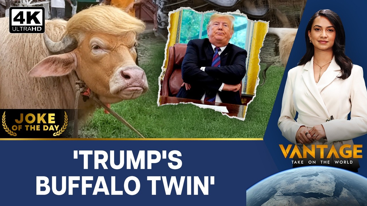 Bangladesh Buffalo Compared To Donald Trump In Viral Posts | Vantage on Firstpost | 4K