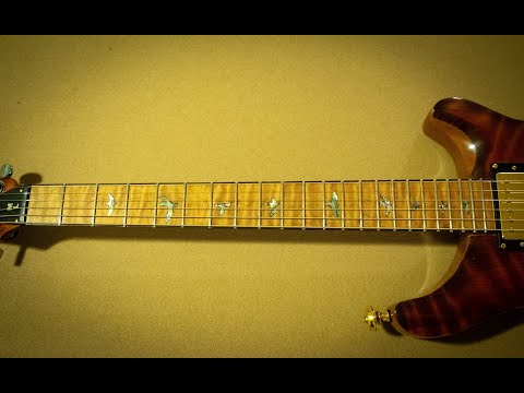 Building A PRS Style Guitar - Part 2