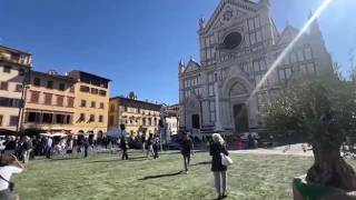 Firenze, piazza Santa Croce diventa un giardino (con olivi)