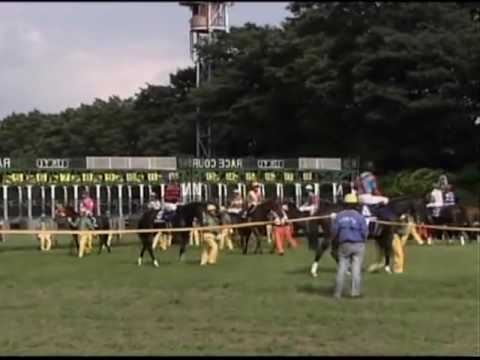 東洋巾幗英雄！「伏特加」衛冕安田紀念2009