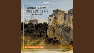 String Quartet No. 4 in D Major, A. 468: II. Canzone. Andante