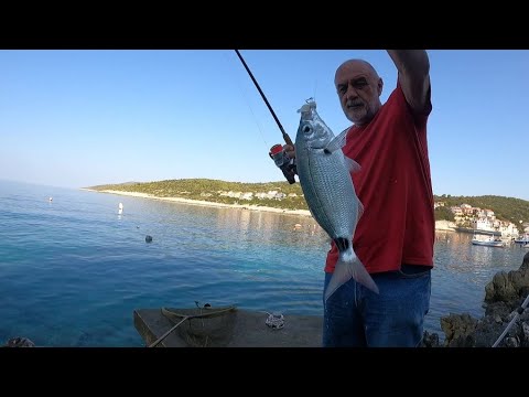 PORANIO, PA UŠATE PREVARIO - feeder štapom i sistemom sa kliznim olovom - Ninoslav Žagar