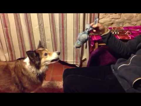 Bonnie at Sant Nicolau