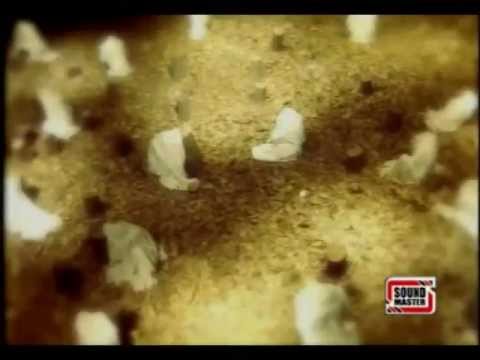 Tere Ishq Nachaya - Baba Bulleh Shah - Singers Raza Ali Qadri & Others