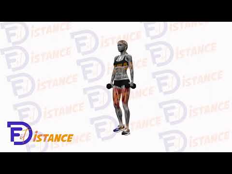 Fentes inversées alternées avec haltères - Exercice Fentes inversées alternées avec haltères en vidéo