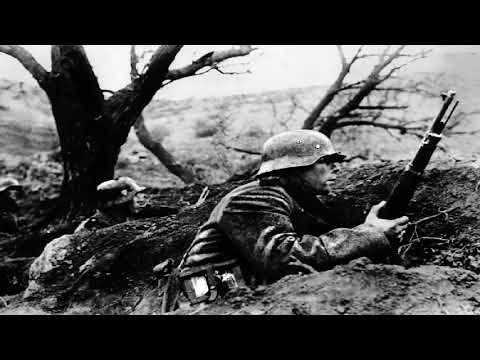 Im Totenland an der Wolga - Hörbuch