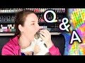 Q&A! PRISON, HOLOSEXUALITY, EATING MY CAT, MARRYING MY BOYFRIEND + BIG ANNOUNCEMENT! Q&A! PRISON, HOLOSEXUALITY, EATING MY CAT, MARRYING MY BOYFRIEND + BIG ANNOUNCEMENT!