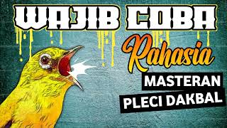 Download lagu MASTERAN PLECI DAKBAL / PLECI DAKUN BALI MATERI TEMBAKAN MEWAH #masteranpleci #plecidakbal mp3