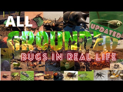 All Grounded bugs in real life!  ( Updated )