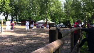 Video of Piccolina 62
