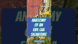 The Argument We Always Win | EIDL 101