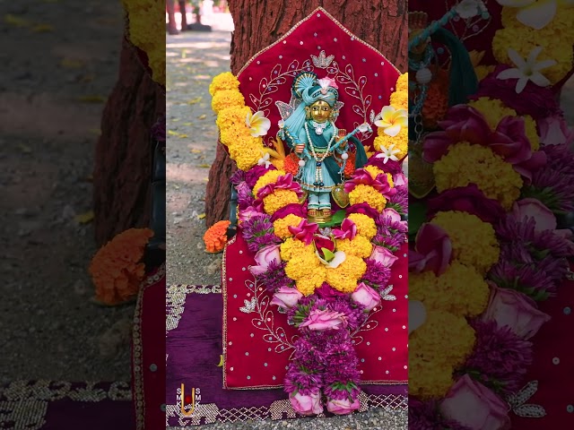 હરિકૃષ્ણ મહારાજ