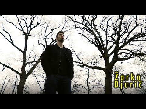 Žarko Djurič - BK Levickí Patrioti